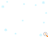Winter Ski Companion
