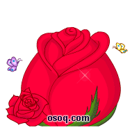 Animation Package